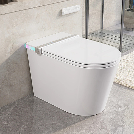 DeerValley One-Piece 0.92/1.32 GPF Elongated Smart Bidet Toilet $518 + Free S&H