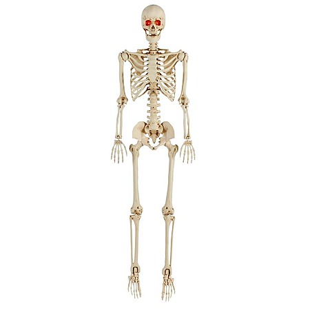 5' LED Pose-N-Stay Skeleton