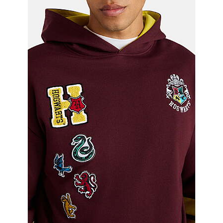 Harry Potter Men's & Big Men's Crest Houses Graphic Hoodie