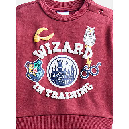 Baby Boys Fleece Sweatshirt and Pants Set, 2 Piece: Harry Potter, Hello Kitty, Minnie Mouse + more