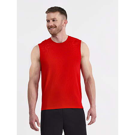 Athletic Works Men's Tri Blend Muscle Tee (various styles/sizes) $1.25+