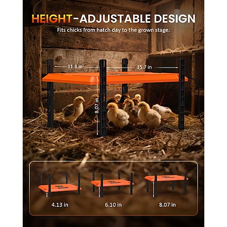 12"x16" Homcolorful 75W Chick Brooder Heat Plate w/ Adjustable Temp, Timer & Height $14.99 + Free Shipping w/ Prime or on $35+