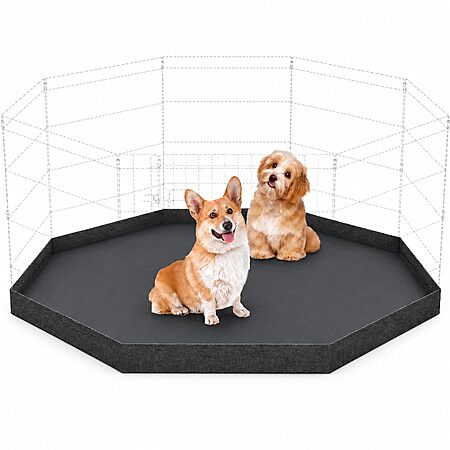 62"x62" Artmalle Replacement Bottom Pad Cover for 8-Panel 24" Pet Playpen (Black) $13.86 + Free Shipping w/ Prime or on $35+
