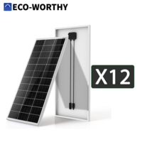 12-Pack Eco-Worthy 200W Watt Solar Panels $850 + Free Shipping