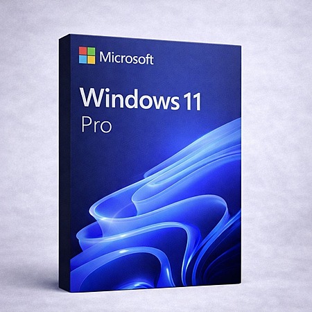 Microsoft Windows 11 Pro Digital License (Digital Delivery) $4.50 ...