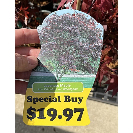 Deal Image