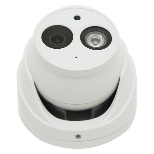 Security King 2MP Starlight ( Dahua OEM ) IP PoE eyeball / turret security camera $105.08