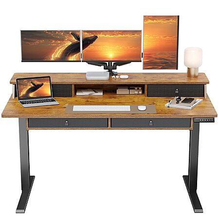 ErGear 55 X 30 Inch Electric Standing Desk with 4 Drawers, Height Adjustable Desk with Storage, C-Clamp Mount Compatible, Home Office Table with Cable Management $114.99