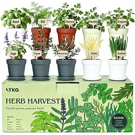 10 Indoor Herb Garden Kit, 33-Piece Complete Kitchen Herb Starter Set $22.19 + Free Shipping w/Prine or on $35+