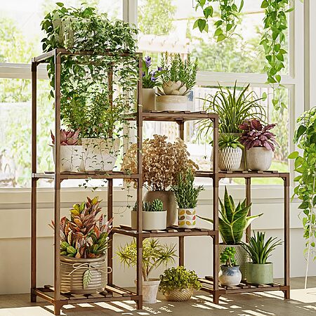 Amazon | Bamworld Plant Stand Indoor Plant Shelf Outdoor Wood Plant Rack