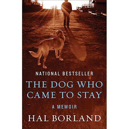 The Dog Who Came to Stay: A Memoir (Kindle ebook)