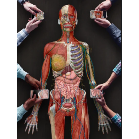 Deal Image