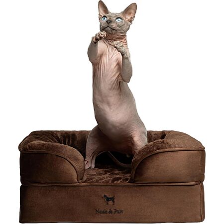 NOAH & PAW 20" x 15" Orthopedic Pet Bed w/ Memory Foam & Bolster (Brown or Green)