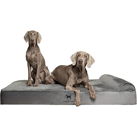 Noah & Paw 55"x45" XXL Orthopedic Cooling Gel Memory Foam Dog Bed $65 + Free S&H