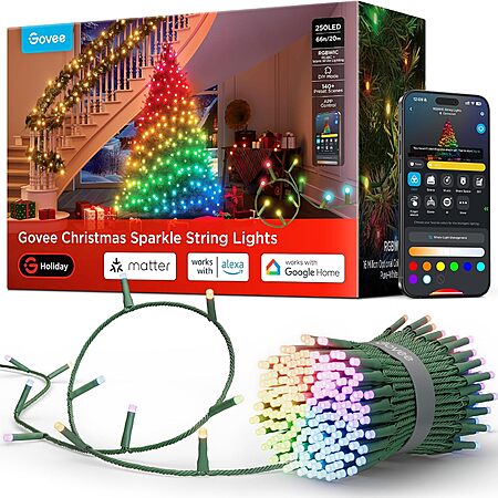 66' Govee Christmas Sparkle String Lights (250 LED) $65 & More + Free Shipping