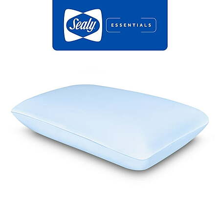 Sealy Essentials Cool-Touch Molded Memory Foam Pillow (Standard) $12 