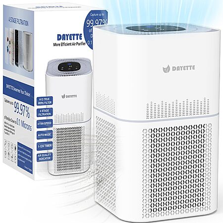 Massive $115 Off HEPA Air Purifier!