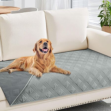 50% Off Reversible Waterproof Dog Blanket!