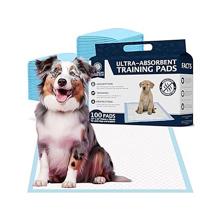 Over 50% Off AKC Puppy Training Pads!