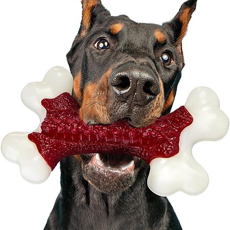 Kseroo 4" x 7.5" Nylon Large Dog Chew Toy (Beef Flavor) $4.99 + Free Shipping w/ Prime or on $35+