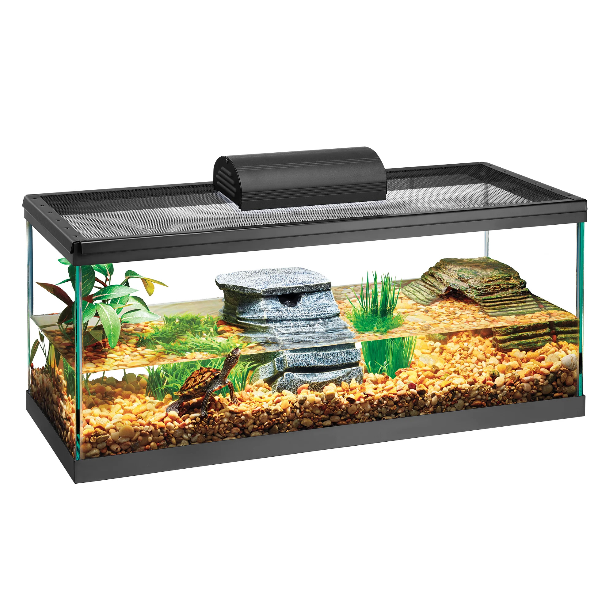 Dollar a gallon sale petco 2018 sales