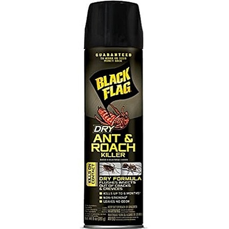 80% Off Black Flag Ant & Roach Killer!