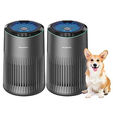 Air Purifiers for Bedroom Home for Smoke Pet Dander Odors 2 Pack Grey $38.75 AC