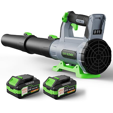 Qiyorl Cordless Leaf Blower with 2 5Ah batteries - $29.99 After coupon
