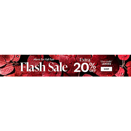 Bath and Body Works Flash Sale: Extra 20% off w code - 2025-09-14