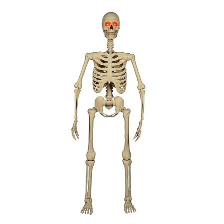5' Haunted Living Ultra Posable Skeleton Halloween Decoration - 2026-10-23