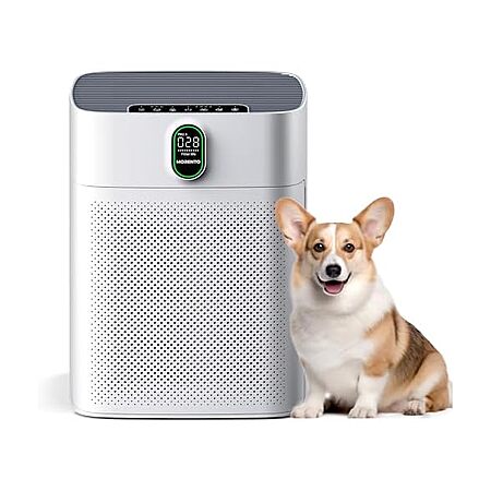 51% Off Morento Air Purifier