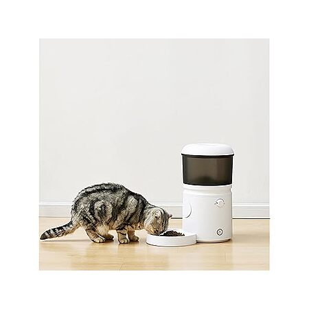 Amazon Basics 4L Automatic Cat Feeder w/ Programmable Voice Recorder & Slow Feed Portion Control