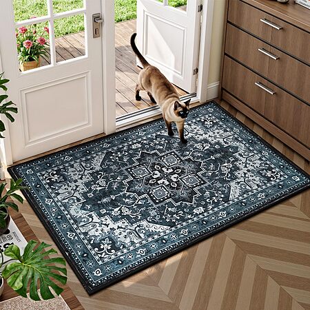 Rugflix 2x3 Washable Entryway Rug with Rubber Backing, Front Door Mat $17.99