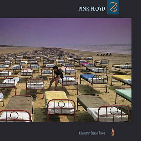 Pink Floyd - A Momentary Lapse Of Reason - Vinyl $25