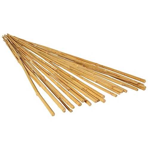 Hydrofarm HGBB3 3' Natural, Pack of 25 Bamboo Stake, 3 Foot, Tan $7.13