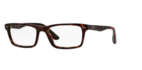 Ray Ban RX5288 2012 52mm Polished Havana Eyeglasses ( Frame With Demo Lens ) $39.99 + Free Shipping