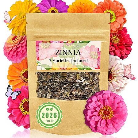 Zinnia Seeds Bulk 5,000+ | Outdoor Flower for Planting |Giant Zinnia Seeds for 2026 | Mixed Colors & Large Blooms for Gardens| High Germination, Beginner-Friendly