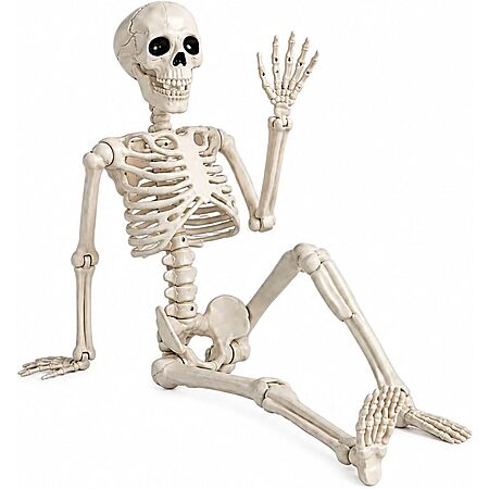 GCNBCNB Poseable Halloween Skeleton