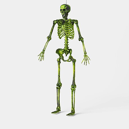 60" Pose-N-Stay Large Poseable Skeleton Halloween Decorative Prop Grim Greenery - Hyde and EEK! Boutique™ $17.5