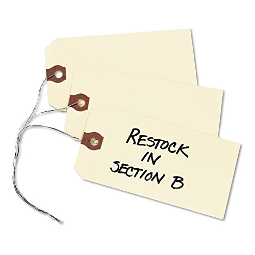 Avery 12605 Double Wired Shipping Tags, 13pt. Stock, 4 3/4 x 2 3/8, Manila (Box of 1000) $25.9