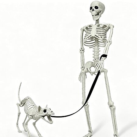 Prime Members: 36" IDEAALS Lighted Human & Dog Skeleton Halloween Decoration Set $24 + Free S&H