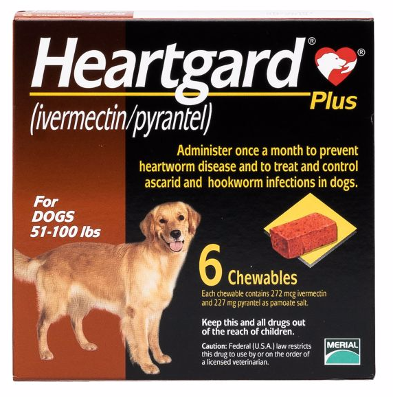New: PetSmart Pharmacy: Get 20% Off Your First Rx Medicine Order + 20% Off Your AutoShip Rx Order