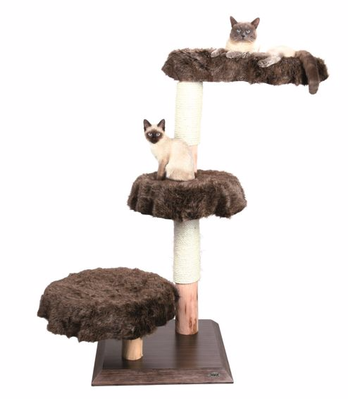 PetSmart Cat Trees $37.99 + $49.99 + Free Shipping