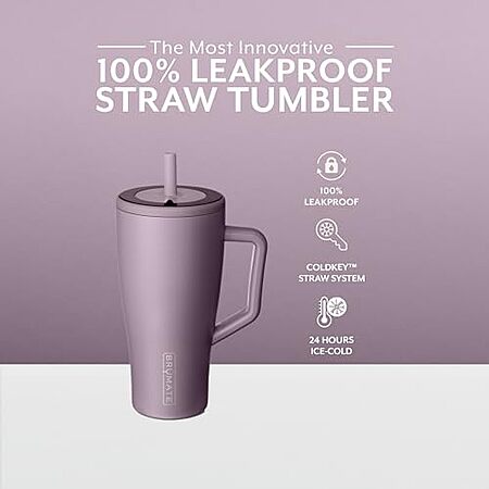 30oz. BruMate Era Leakproof Stainless Steel Coldkey Straw Tumbler (3