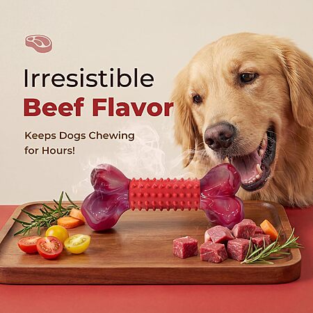 Apasiri Tough Nylon Dog Chew Toy w/ Textured Rubber Center (Red/Beef Flavored)
