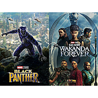 Black Panther: 2 Movie Collection  Amazon Prime Video $7.99