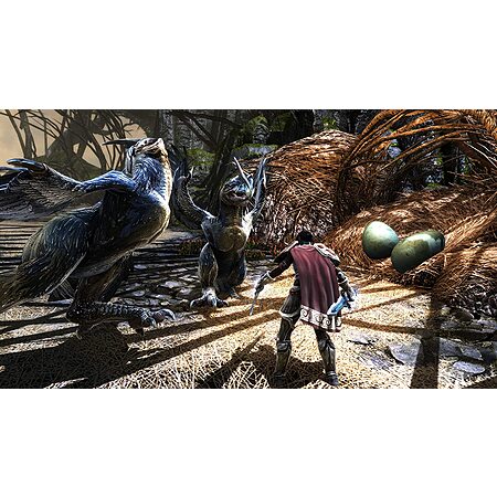 Deal Image