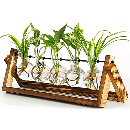 XXXFlower 5-Bulb Vase Plant Terrarium Air Planter w/ Wooden Stand $10.50