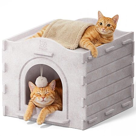 Apasiri Cat House Deal Posted on Slickdeals.net