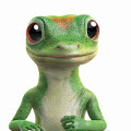 Geico Car Insurance 8% discount for owning berkshire hathaway stocks YMMY